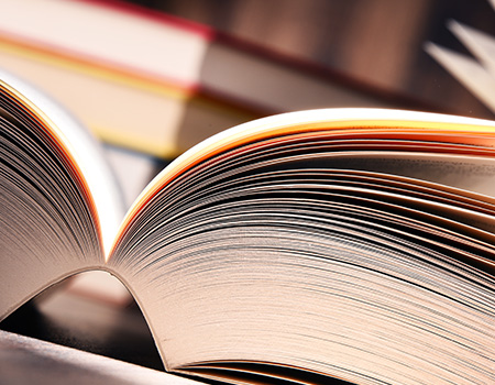 인문사회학부 썸네일