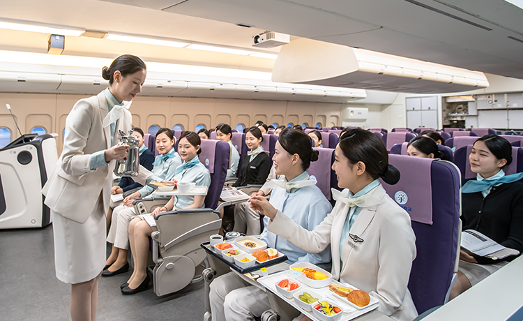 항공관광과 관련이미지2