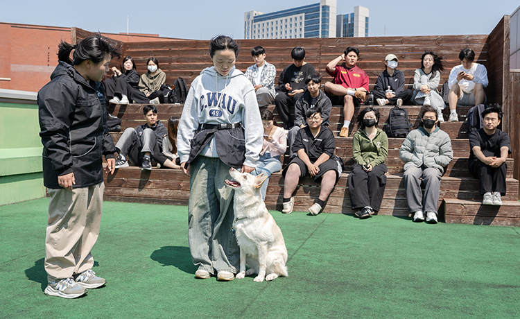 바이오동물보건과 관련이미지4